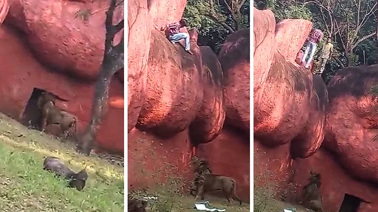 Man in Nehru Zoological Park