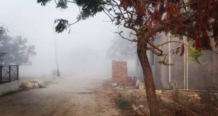 Hyderabad Cold Weather